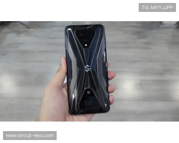 乐鱼app手机网页版全面功能介绍与操作技巧详解让你游戏体验更顺畅